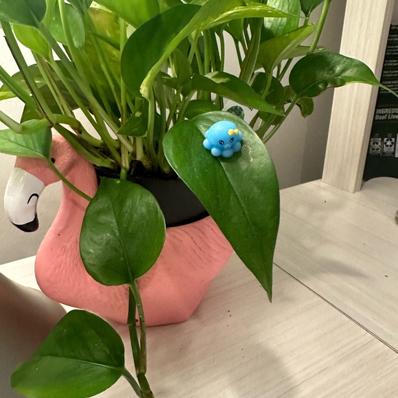 🍃10 pack PLANT MAGNETS!🍃 - Picture 5 of 16